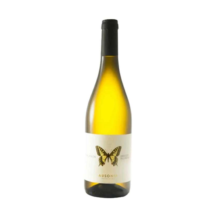 Machaon · Pecorino DOP